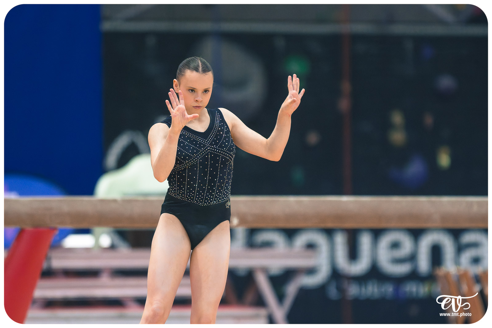 TOP 12 HAGUENAU VS HENIN